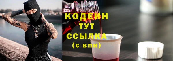apvp Горнозаводск