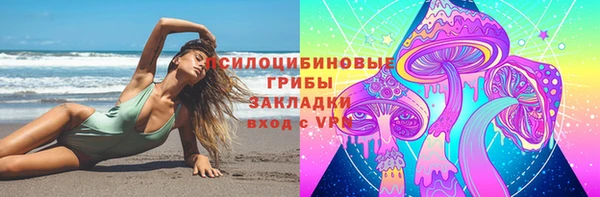 a pvp Вяземский
