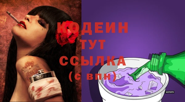 apvp Горнозаводск